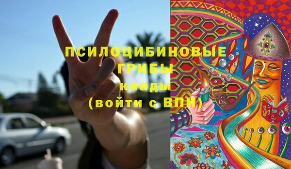 соль ск Алексеевка