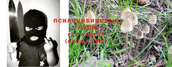мяу мяу мука Алексин