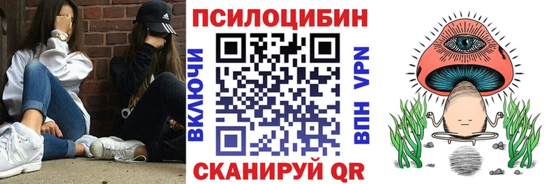 цена Шумиха kraken рабочий сайт Галлюциногенные грибы Psilocybine cubensis